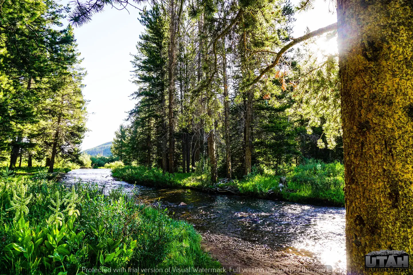 Sulphur Campground