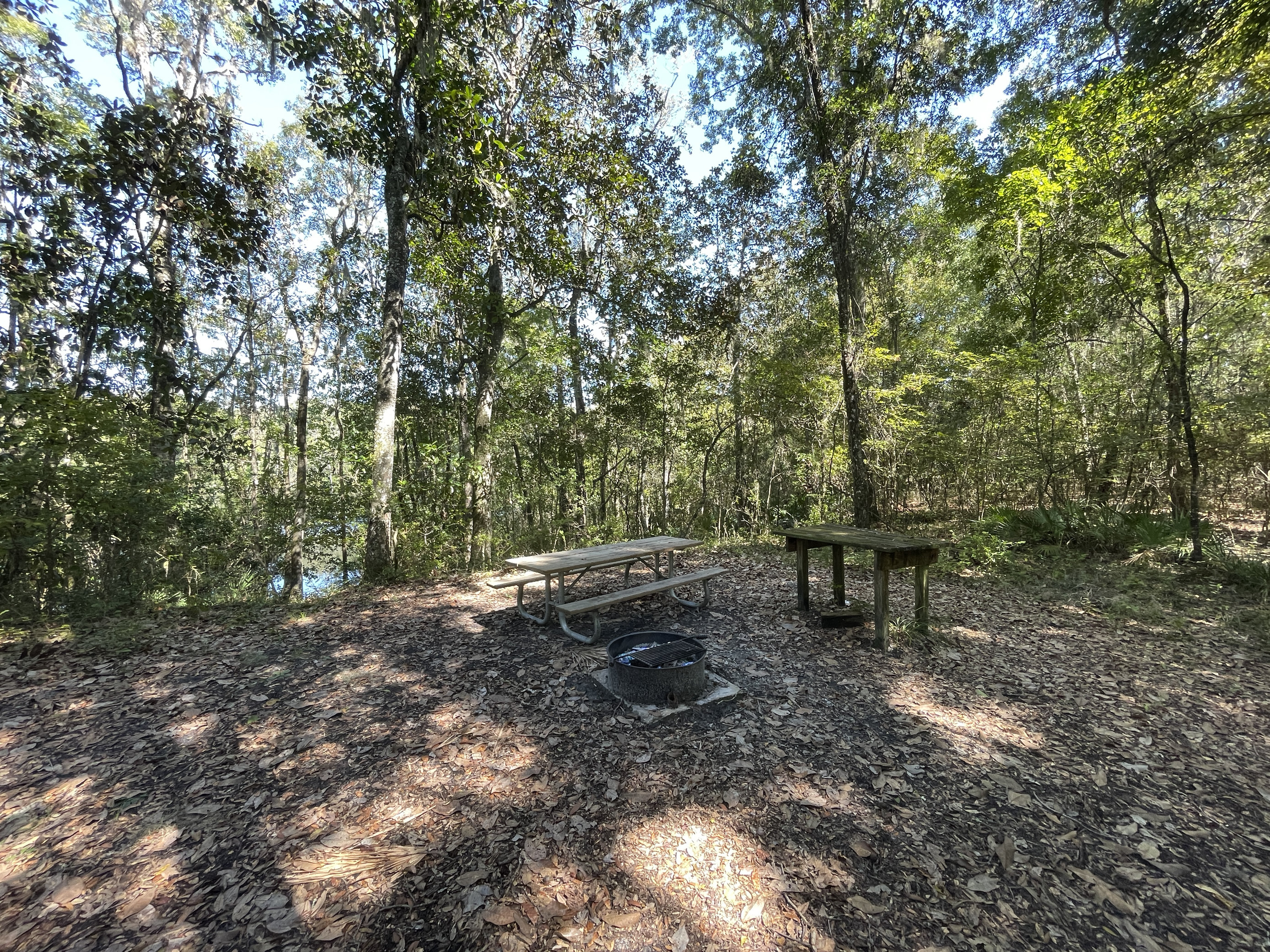 Black Creek Ravines Conservation Area Hike-In SJRWMD