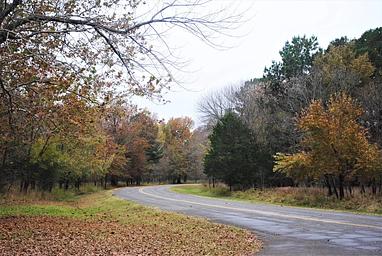 Brooken Cove