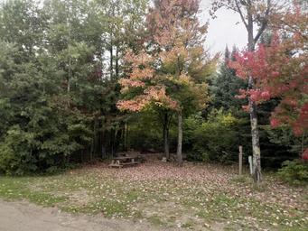 Campground image 2