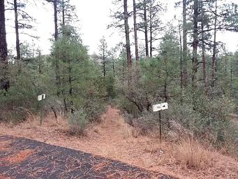 Hilltop Campground: trail head 1