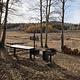 Picnic area with view of the meadow in the background