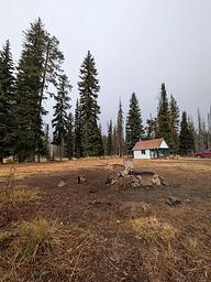 001, Loop: BUCK PARK CABIN