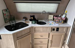'Ruthie' 2019 Forest River R-Pod ACO468