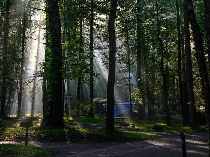 Abram's Creek Campground