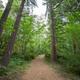 Campspot slideshow image 4