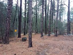 Turney Gulch Group