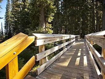 Trapper Creek Campground