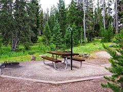 Campsite in North Tongue Campground