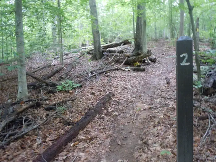 Chopawamsic Backcountry Camping Permits