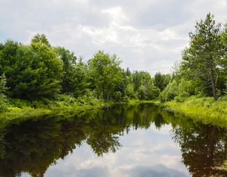 Patten Pond Campground