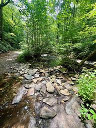 Basin Cove Backcountry Camping