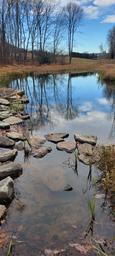 Small landscaped pond with stone edging and reflections — highlights on-site water feature and natural landscaping shown on the Welcome page.