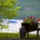 Decorative wheelbarrow with flowers by the water — close-up showing landscaped campsite/lakeside atmosphere from the About Us page.