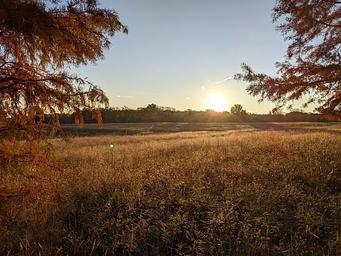 West Rolling Hills Field