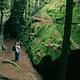 Hikers look at the high rock walls at the Ledges