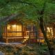 Exterior night view of a cabin on the property showing its deck, lighting and wooded setting — matches the site’s “Cabins” section and clearly depicts on‑site lodging.