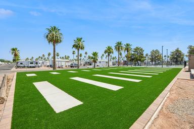 A grassy area with palm trees, evenly spaced white concrete slabs, and RVs in the background under a clear blue sky in apache junction az