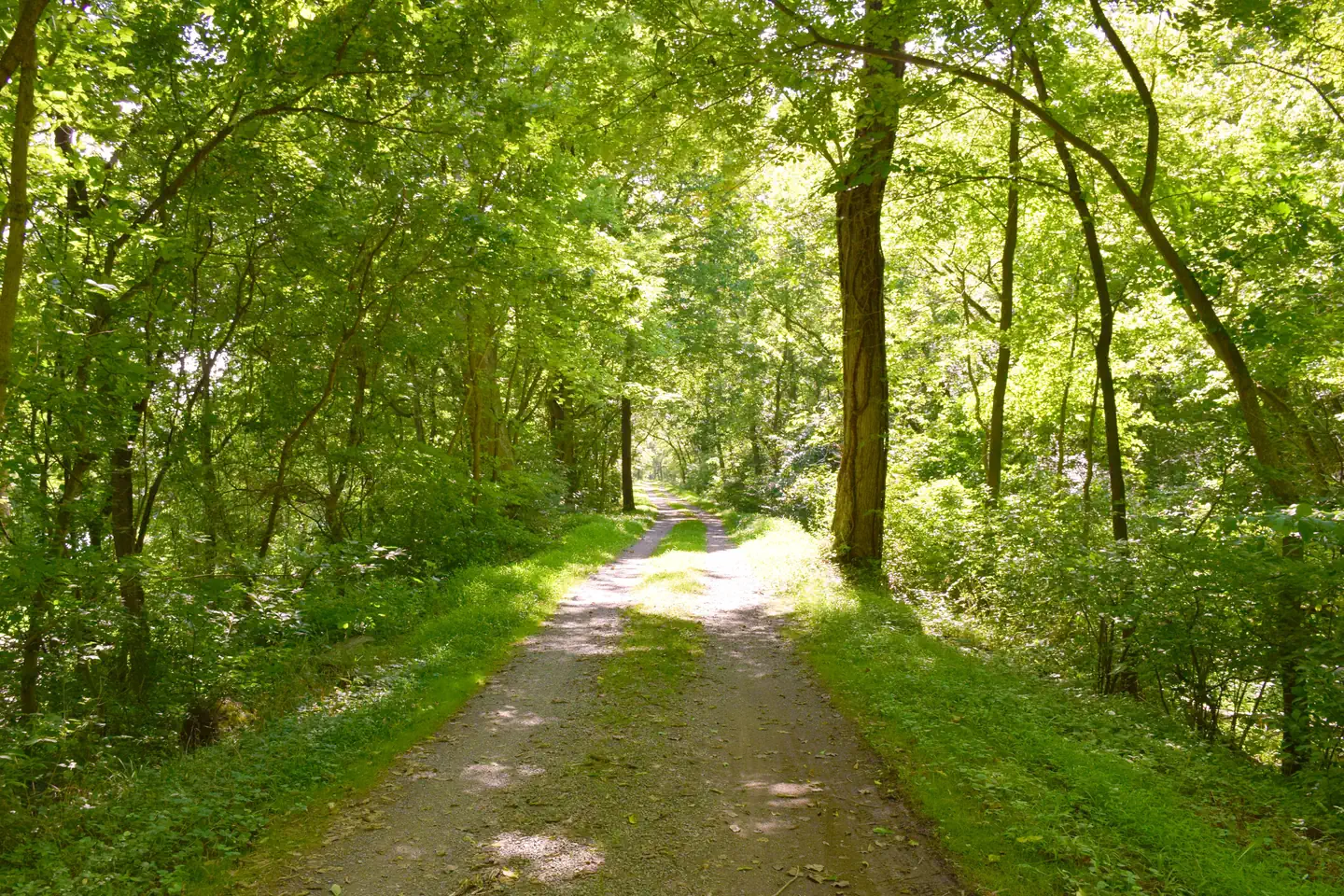 Mccoy's Ferry Campground