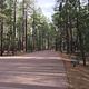 Ponderosa  Campground     