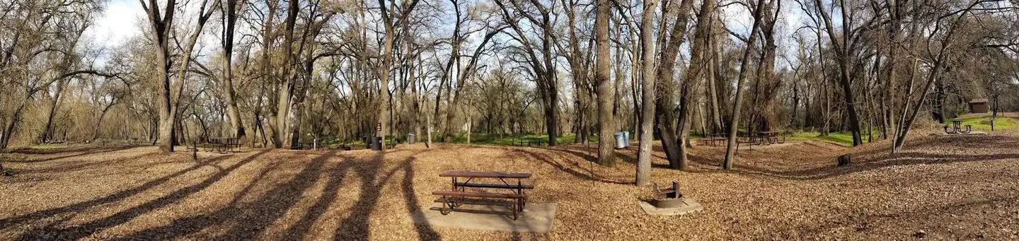 Valley Oak Recreation Area