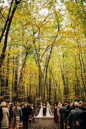 Gather Greene