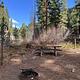Campsite with, picnic table, lantern hook, and fire ring.