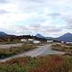 Tangle Lakes Campground 