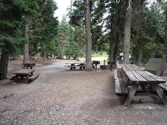 001, Loop: AREA CARTER MEADOWS HORSE GROUP