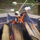 Campspot slideshow image 2