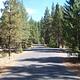 Flat paved road lined with pine and fir trees under partly cloudy sky.