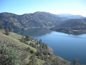 TRIMMER'S VIEW OF THE LAKE