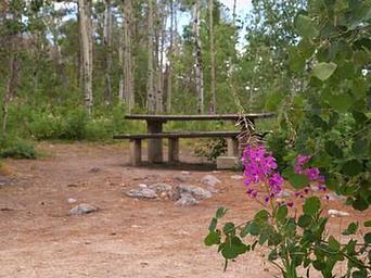 Narrows Campground