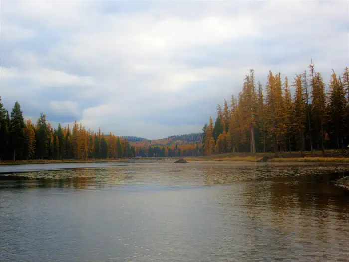 River Point Lolo Campground (MT)