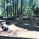 Lush forest provide shade for Middle Meadows Group Campground