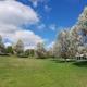 Campground image 4
