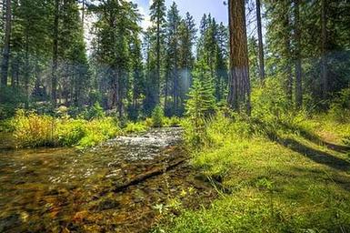 JACK CREEK CAMPGROUND