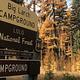 Big Larch Campground Entrance Sign. It reads: Big Larch Campground, Lolo National Forest, U.S. Department of Agriculture, Campground. Western Larch trees displaying fall colors can be seen in the background. 