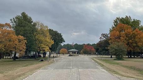 Oak (Navarro Mills Lake)