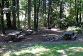 Maple Tree Camp