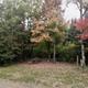Campground image 2