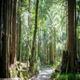 Campspot slideshow image 1