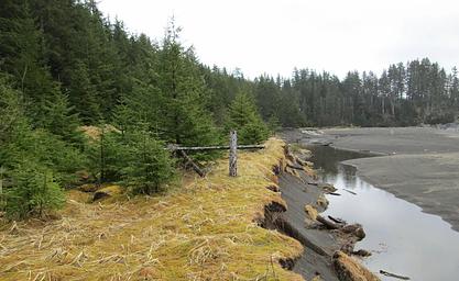 North Beach Cabin111