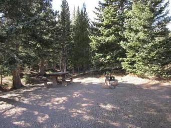 BEAR LAKE CAMPGROUND (CO)