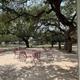 A patio with tables and chairs under trees on a sunny day.