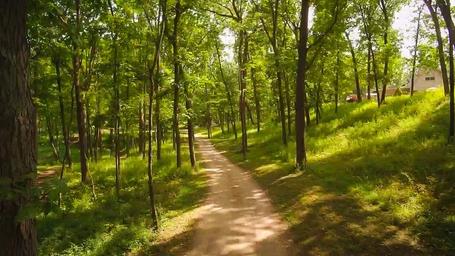 Ground-level view of a shaded dirt path through wooded campsites and grassy slopes — shows campsite setting and tree cover. Source: Gallery page on the campground website (explicit gallery photo).