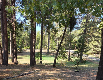 Camp Growlersburg