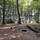 A campsite with a firegrate surrounded by trees with water visible beyond the trees.