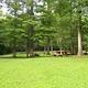 View of campground, tables and grills