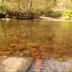 Campspot slideshow image 5